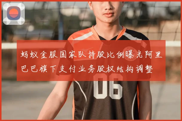 蚂蚁金服国家队持股比例曝光阿里巴巴旗下支付业务股权结构调整